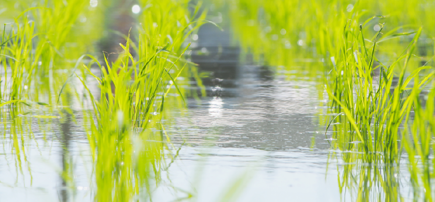 地域の農地と暮らしを守る活動